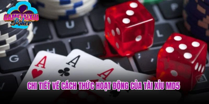 Chi tiết về cách thức hoạt động của tài xỉu MD5 