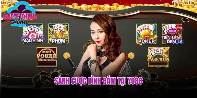 Sảnh cược đình đám tại Yo88